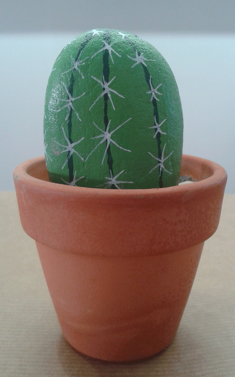 piedras pintadas cactus maceta barro